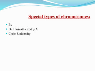 Special types of chromosomes:
 By
 Dr. Harinatha Reddy A
 Christ University
 