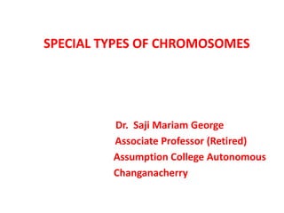 Dr. Saji Mariam George
Associate Professor (Retired)
Assumption College Autonomous
Changanacherry
SPECIAL TYPES OF CHROMOSOMES
 