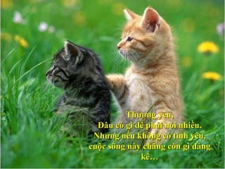 Thương yêu, Đâu có gì để phải nói nhiều. Nhưng nếu không có tình yêu, cuộc sống này chẳng còn gì đáng kể… 