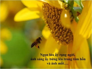 Ngọn lửa ấy rạng ngời, ánh sáng ấy bừng lên trong tâm hồn và ánh mắt…. 