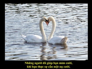 Những người đã giúp bạn mỉm cười, khi bạn thực sự cần một nụ cười. 