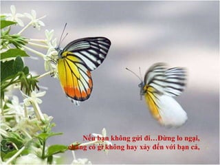 Nếu bạn không gửi đi…Đừng lo ngại, chẳng có gì không hay xảy đến với bạn cả, . 