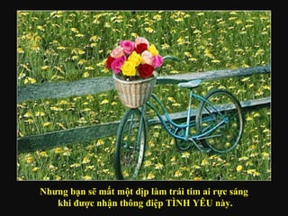 Nhưng bạn sẽ mất một dịp làm trái tim ai rực sáng khi được nhận thông điệp TÌNH YÊU này. 