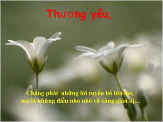 Thương yêu, Chẳng phải  những lời tuyên bố lớn lao,  mà là những điều nho nhỏ vô cùng giản dị… 