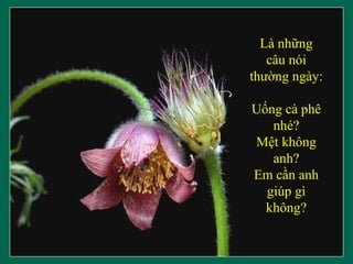 Là những câu nói thường ngày: Uống cà phê nhé? Mệt không anh? Em cần anh giúp gì không? 