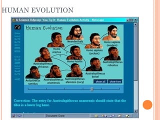 Speciation | PPT