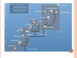Speciation | PPT