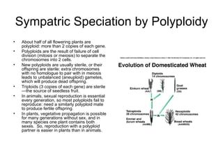 Sympatric Speciation by Polyploidy About half of all flowering plants are polyploid: more than 2 copies of each gene.  Polyploids are the result of failure of cell division (mitosis or meiosis) to separate the chromosomes into 2 cells. New polyploids are usually sterile, or their offspring are sterile: extra chromosomes with no homologue to pair with in meiosis leads to unbalanced (aneuploid) gametes, which will produce dead offspring. Triploids (3 copies of each gene) are sterile—the source of seedless fruit. In animals, sexual reproduction is essential every generation, so most polyploids fail to reproduce: need a similarly polyploid mate to produce fertile offspring. In plants, vegetative propagation is possible for many generations without sex, and in many species one plant contains both sexes.  So, reproduction with a polyploid partner is easier in plants than in animals.  