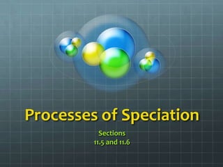 Processes of Speciation
           Sections
         11.5 and 11.6
 