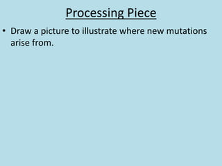 Processing Piece
• Draw a picture to illustrate where new mutations
arise from.
 