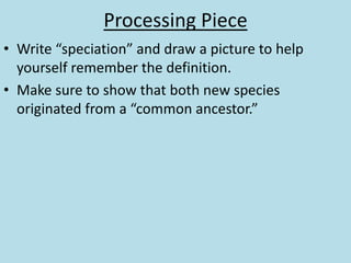 Processing Piece
• Write “speciation” and draw a picture to help
yourself remember the definition.
• Make sure to show that both new species
originated from a “common ancestor.”
 