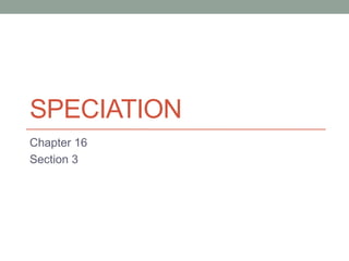 SPECIATION
Chapter 16
Section 3
 