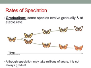 Rates of Speciation
• Gradualism: some species evolve gradually & at
stable rate
• Although speciation may take millions of years, it is not
always gradual
 