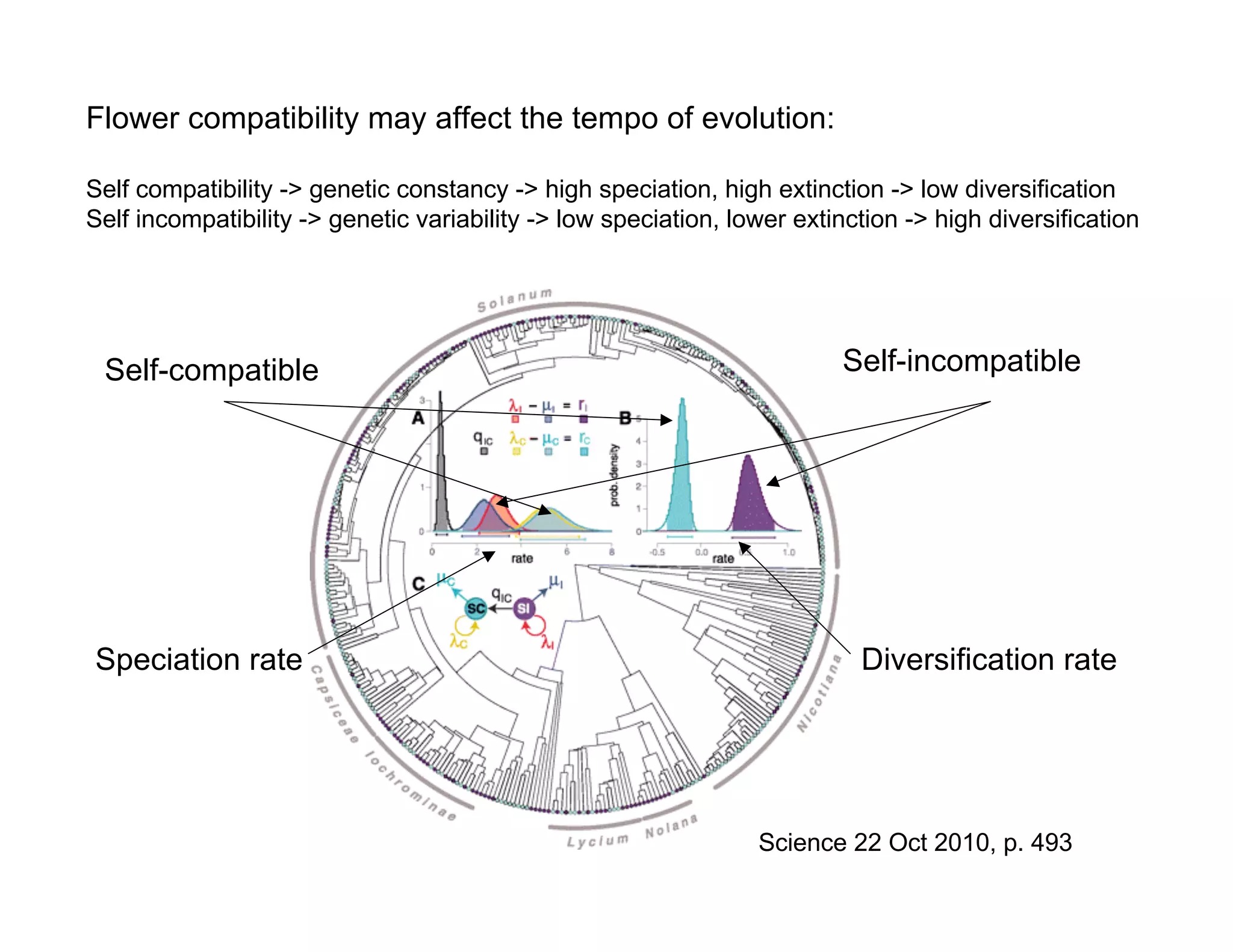 Speciation | PDF