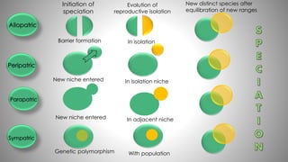 Allopatric
Peripatric
Parapatric
Sympatric
Initiation of
speciation
Evolution of
reproductive isolation
New distinct species after
equilibration of new ranges
Barrier formation In isolation
New niche entered In isolation niche
New niche entered In adjacent niche
Genetic polymorphism With population
 