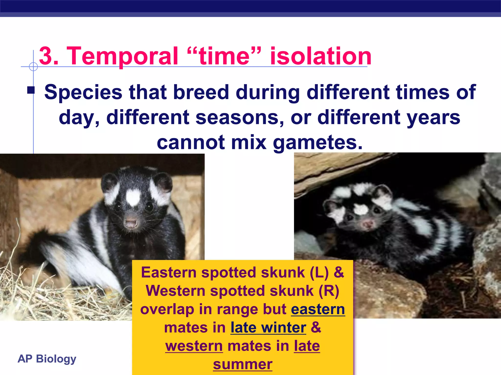 Speciation.ppt