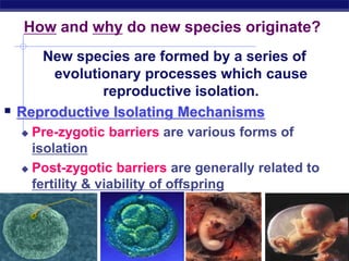 Evolution Isolation Speciation.ppt