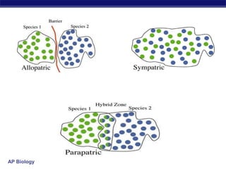 Speciation Types AP Biology Presentation | PPT