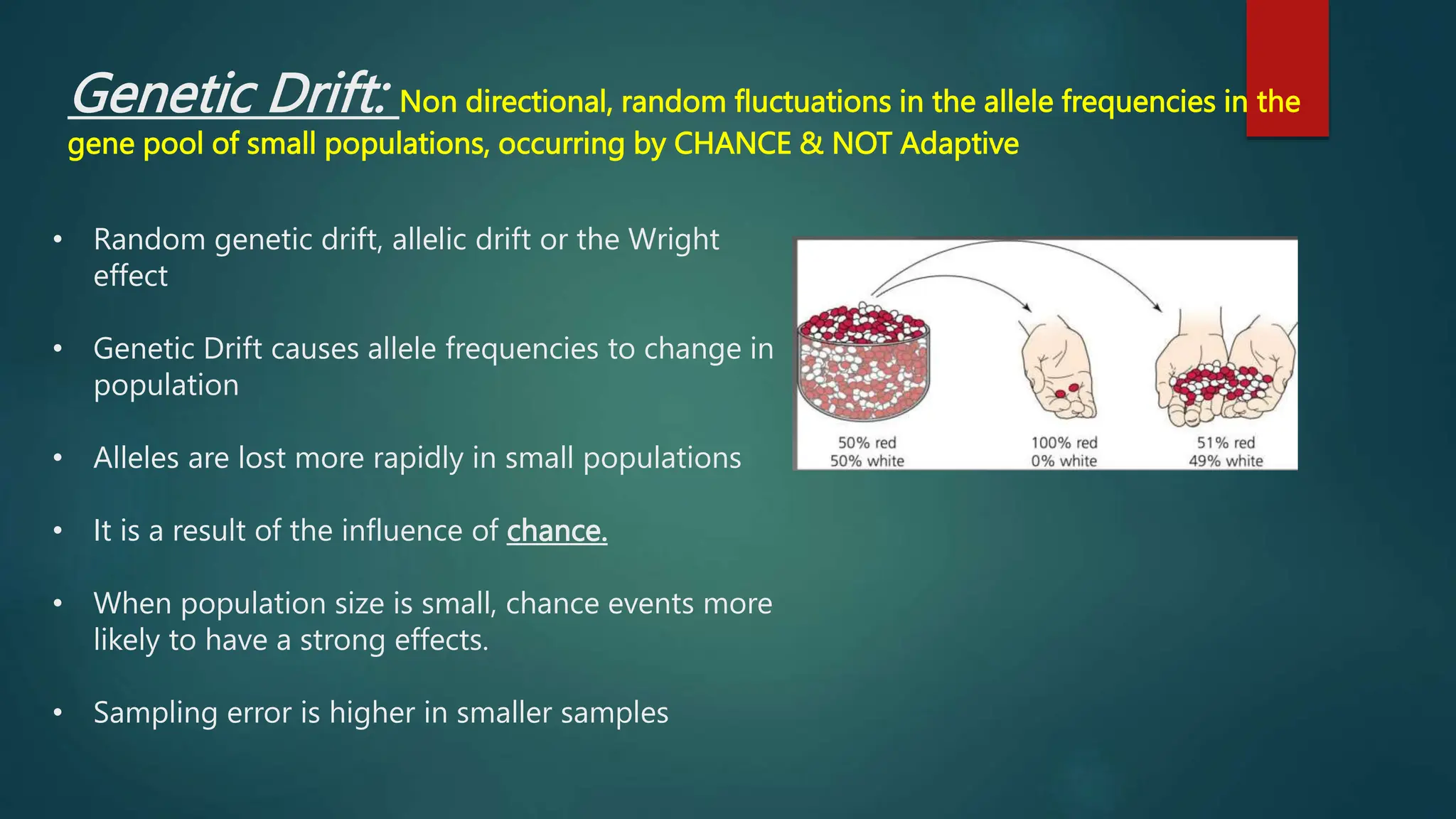 Genetic Drift: Non directional, random fluctuations in the allele frequencies in the
gene pool of small populations, occurring by CHANCE & NOT Adaptive
• Random genetic drift, allelic drift or the Wright
effect
• Genetic Drift causes allele frequencies to change in
population
• Alleles are lost more rapidly in small populations
• It is a result of the influence of chance.
• When population size is small, chance events more
likely to have a strong effects.
• Sampling error is higher in smaller samples
 
