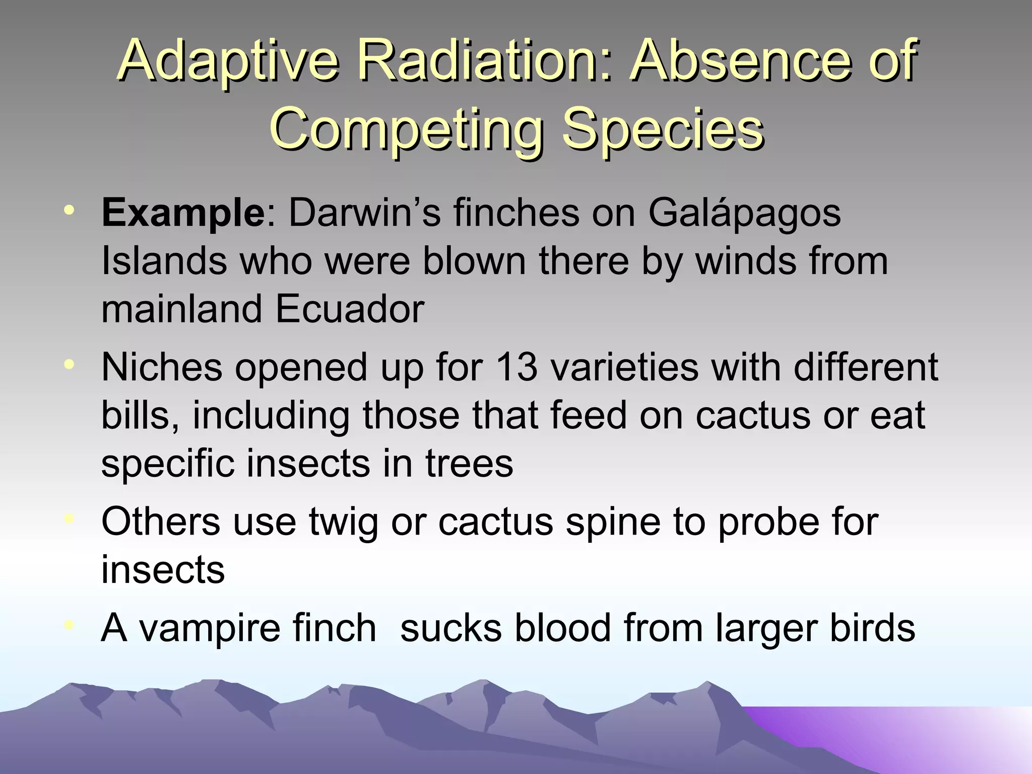 Adaptive Radiation: Absence of Competing Species Example : Darwin’s finches on Gal ápagos Islands who were blown there by winds from mainland Ecuador Niches opened up for 13 varieties with different bills, including those that feed on cactus or eat specific insects in trees Others use twig or cactus spine to probe for insects A vampire finch  sucks blood from larger birds 