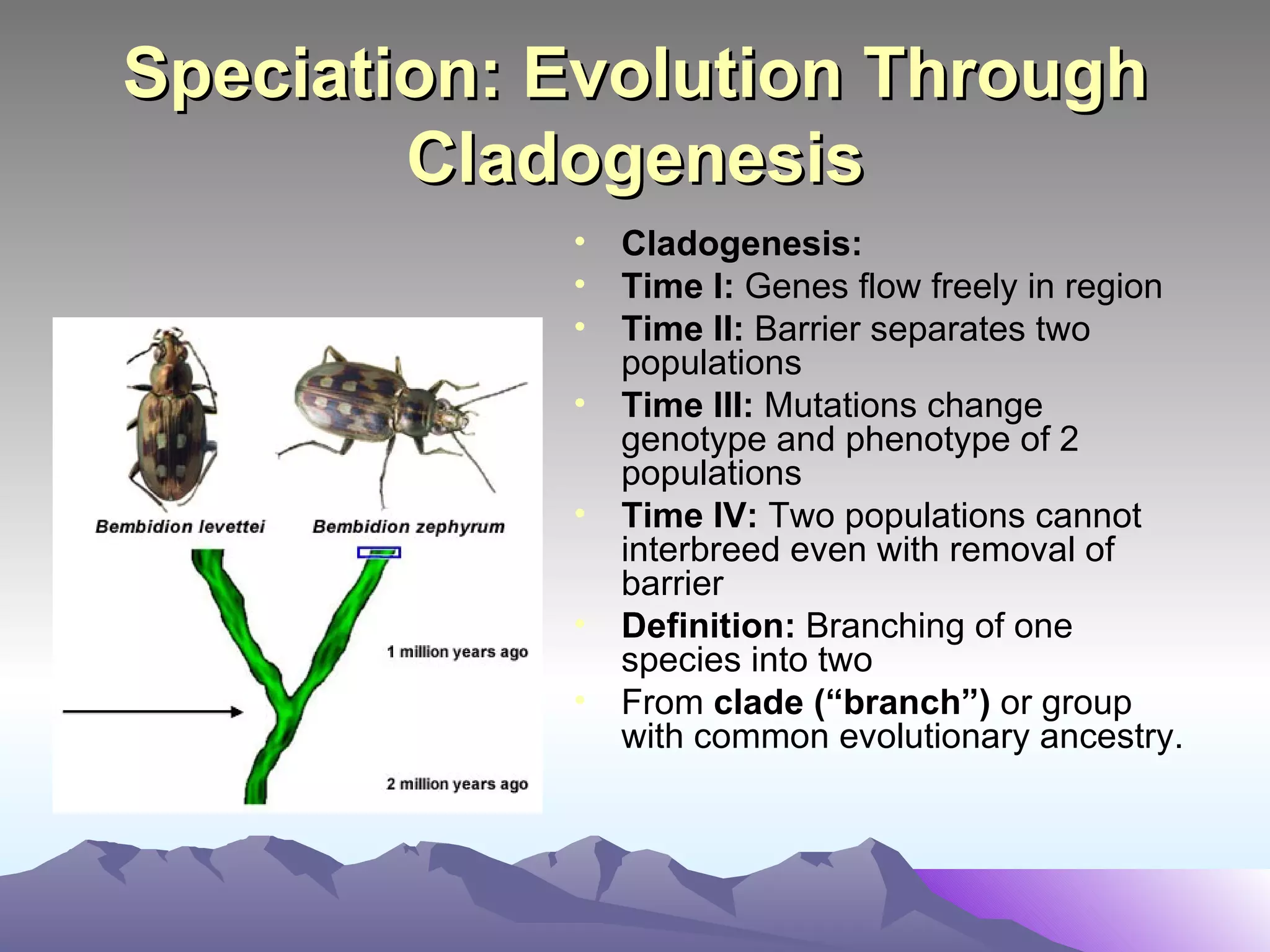 Speciation: Evolution Through Cladogenesis Cladogenesis:  Time I:  Genes flow freely in region Time II:  Barrier separates two populations Time III:  Mutations change genotype and phenotype of 2 populations Time IV:  Two populations cannot interbreed even with removal of barrier Definition:  Branching of one species into two From  clade (“branch”)  or group with common evolutionary ancestry. 