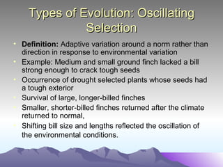 Types of Evolution: Oscillating Selection Definition:  Adaptive variation around a norm rather than direction in response to environmental variation Example: Medium and small ground finch lacked a bill strong enough to crack tough seeds Occurrence of drought selected plants whose seeds had a tough exterior Survival of large, longer-billed finches Smaller, shorter-billed finches returned after the climate returned to normal, Shifting bill size and lengths reflected the oscillation of the environmental conditions.   
