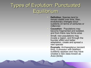 Types of Evolution: Punctuated Equilibrium Definition : Species tend to remain stable over time, then, evolutionary changes occur suddenly (in terms of centuries or millennia) Causation:   Populations may become fragmented and isolated, and from there new forms arise Small, new populations may invade a region, and through the founder effect and better adaptation, create and spread a new species Example:  Archaeopteryx (ancient bird), a dinosaur with feathers: suddenly appears and may have created a new class known as  Aves  (birds) 