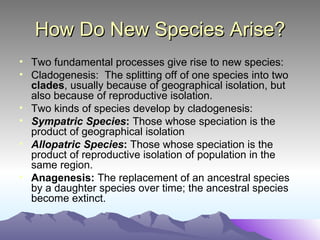 How Do New Species Arise? Two fundamental processes give rise to new species: Cladogenesis:  The splitting off of one species into two  clades , usually because of geographical isolation, but also because of reproductive isolation. Two kinds of species develop by cladogenesis:  Sympatric Species :  Those whose speciation is the product of geographical isolation Allopatric Species :  Those whose speciation is the product of reproductive isolation of population in the same region.  Anagenesis:  The replacement of an ancestral species by a daughter species over time; the ancestral species become extinct.  