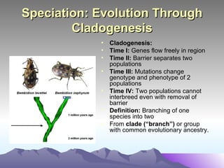 Speciation: Evolution Through Cladogenesis Cladogenesis:  Time I:  Genes flow freely in region Time II:  Barrier separates two populations Time III:  Mutations change genotype and phenotype of 2 populations Time IV:  Two populations cannot interbreed even with removal of barrier Definition:  Branching of one species into two From  clade (“branch”)  or group with common evolutionary ancestry. 