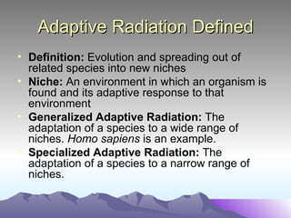 Adaptive Radiation Defined Definition:  Evolution and spreading out of related species into new niches Niche:  An environment in which an organism is found and its adaptive response to that environment Generalized Adaptive Radiation:  The adaptation of a species to a wide range of niches.  Homo sapiens  is an example. Specialized Adaptive Radiation:  The adaptation of a species to a narrow range of niches.  