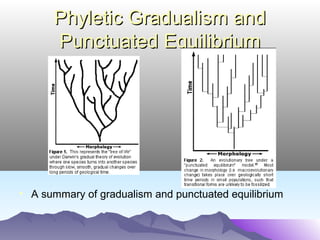 Speciation and-evolution- | PPT