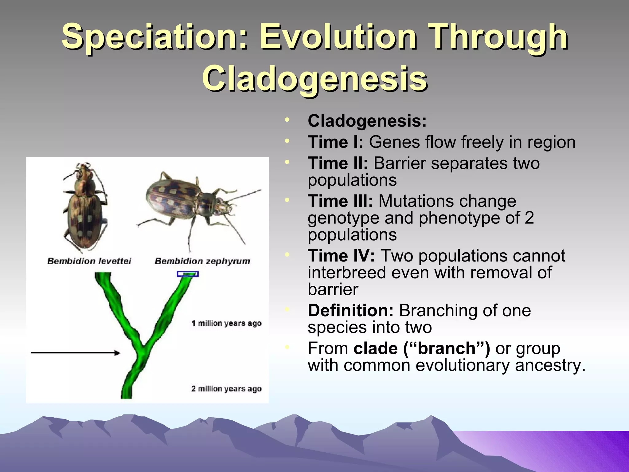 Speciation: Evolution Through Cladogenesis Cladogenesis:  Time I:  Genes flow freely in region Time II:  Barrier separates two populations Time III:  Mutations change genotype and phenotype of 2 populations Time IV:  Two populations cannot interbreed even with removal of barrier Definition:  Branching of one species into two From  clade (“branch”)  or group with common evolutionary ancestry. 
