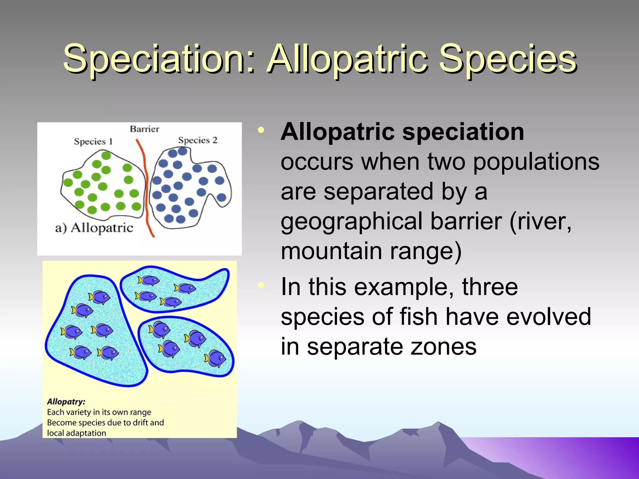 Speciation: Allopatric Species Allopatric speciation   occurs when two populations are separated by a geographical barrier (river, mountain range) In this example, three species of fish have evolved in separate zones 