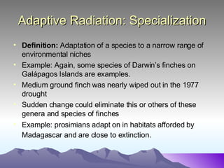Adaptive Radiation: Specialization Definition:  Adaptation of a species to a narrow range of environmental niches Example: Again, some species of Darwin’s finches on Gal ápagos Islands are examples. Medium ground finch was nearly wiped out in the 1977 drought Sudden change could eliminate this or others of these genera and species of finches Example: prosimians adapt on in habitats afforded by Madagascar and are close to extinction.   