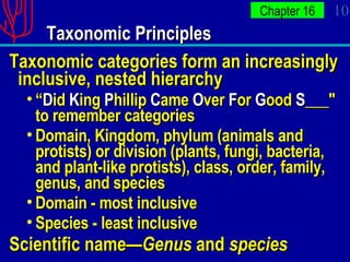 Taxonomic Principles Taxonomic categories form an increasingly inclusive, nested hierarchy “ D id  K ing  P hillip  C ame  O ver   F or   G ood  S ___" to remember categories Domain, Kingdom, phylum (animals and protists) or division (plants, fungi, bacteria, and plant-like protists), class, order, family, genus, and species Domain - most inclusive Species - least inclusive Scientific name— Genus  and  species 