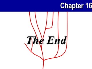 The End 