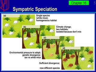 Sympatric Speciation Single species (white mice); homogeneous habitat (a) Climate change; two habitats; isolated because don’t mix (b) Environmental pressure to adapt; genetic divergence; tan vs white mice (c) Sufficient divergence;   now different species (d) 
