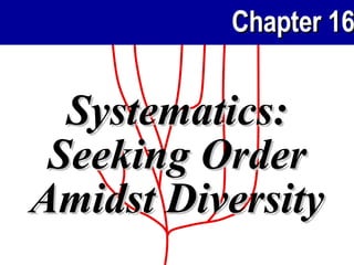Systematics: Seeking Order Amidst Diversity 