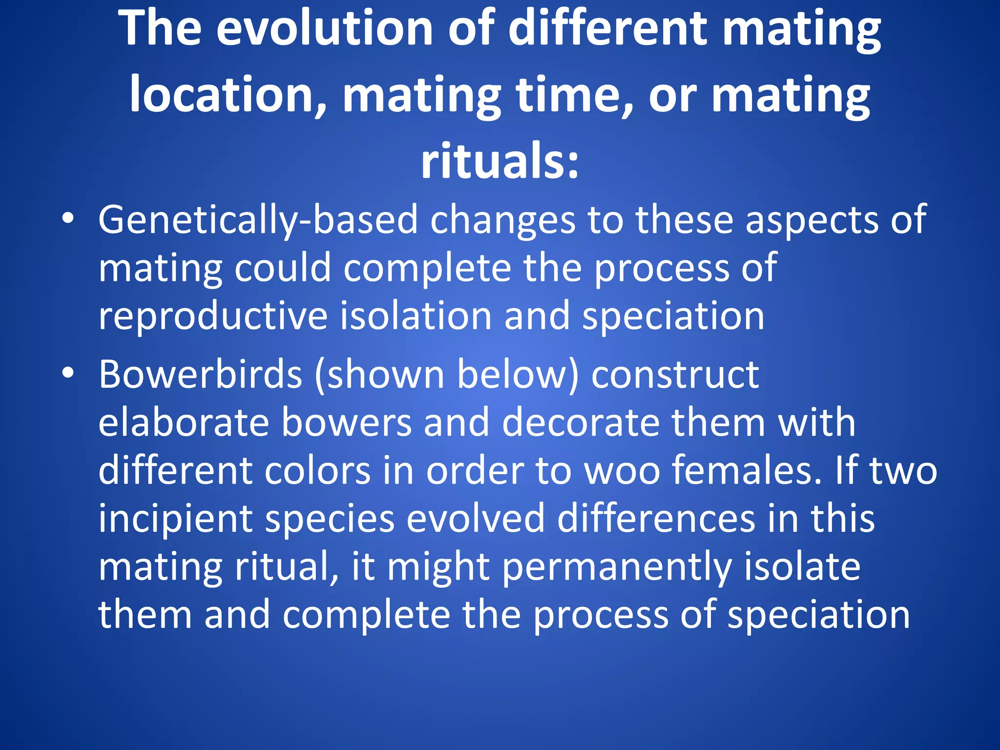 The evolution of different mating
location, mating time, or mating
rituals:
• Genetically-based changes to these aspects of
mating could complete the process of
reproductive isolation and speciation
• Bowerbirds (shown below) construct
elaborate bowers and decorate them with
different colors in order to woo females. If two
incipient species evolved differences in this
mating ritual, it might permanently isolate
them and complete the process of speciation

 