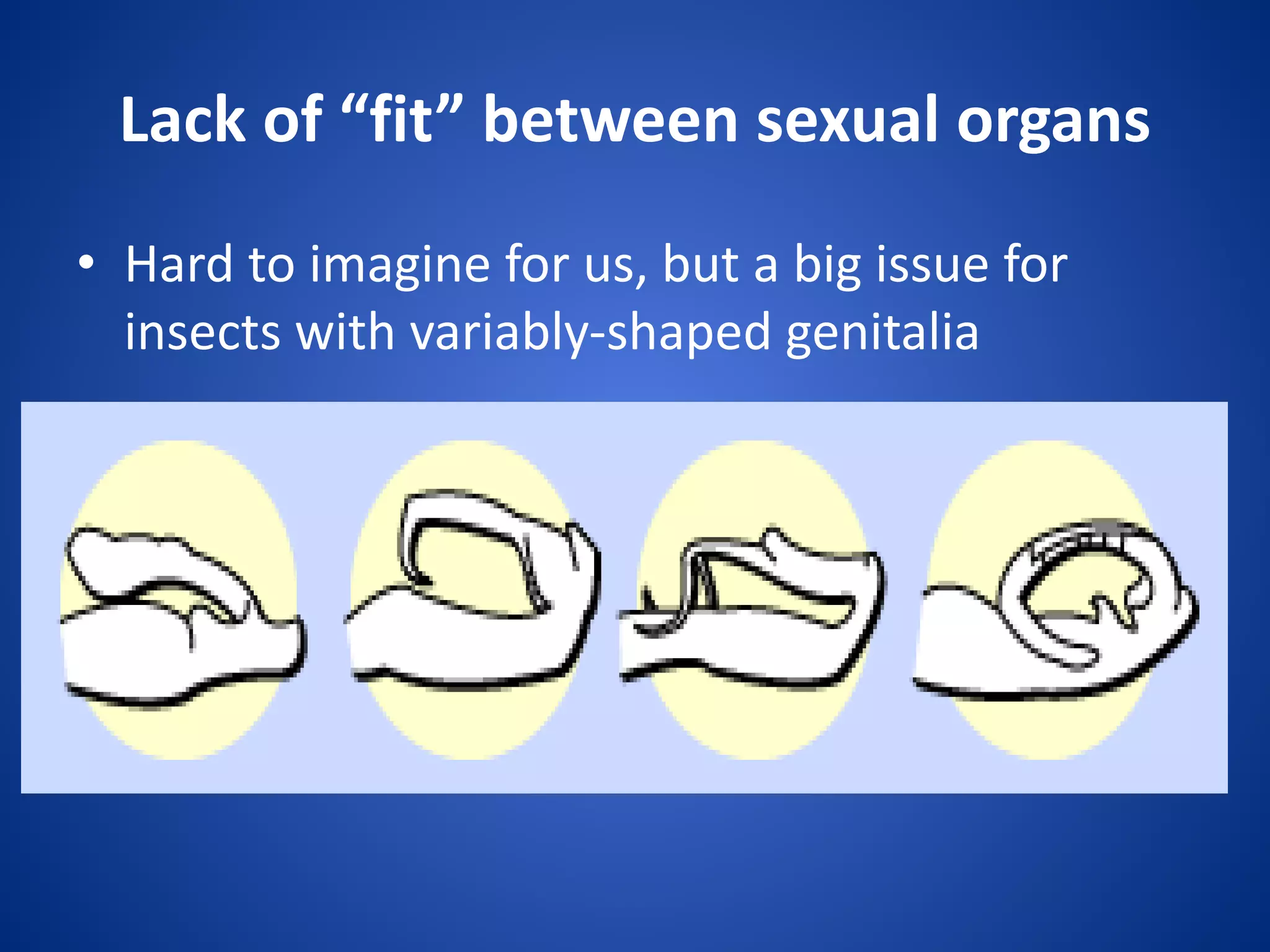 Lack of “fit” between sexual organs
• Hard to imagine for us, but a big issue for
insects with variably-shaped genitalia

 