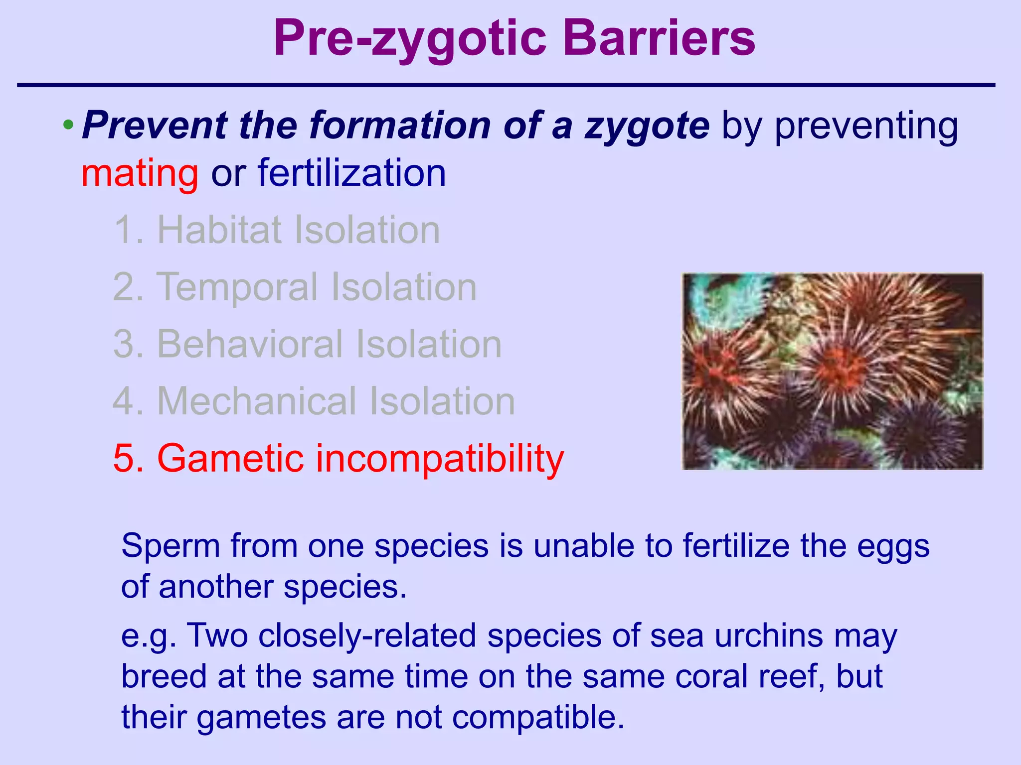 Pre-zygotic Barriers
• Prevent the formation of a zygote by preventing
  mating or fertilization
   1. Habitat Isolation
   2. Temporal Isolation
   3. Behavioral Isolation
   4. Mechanical Isolation
   5. Gametic incompatibility

   Sperm from one species is unable to fertilize the eggs
   of another species.
   e.g. Two closely-related species of sea urchins may
   breed at the same time on the same coral reef, but
   their gametes are not compatible.
 