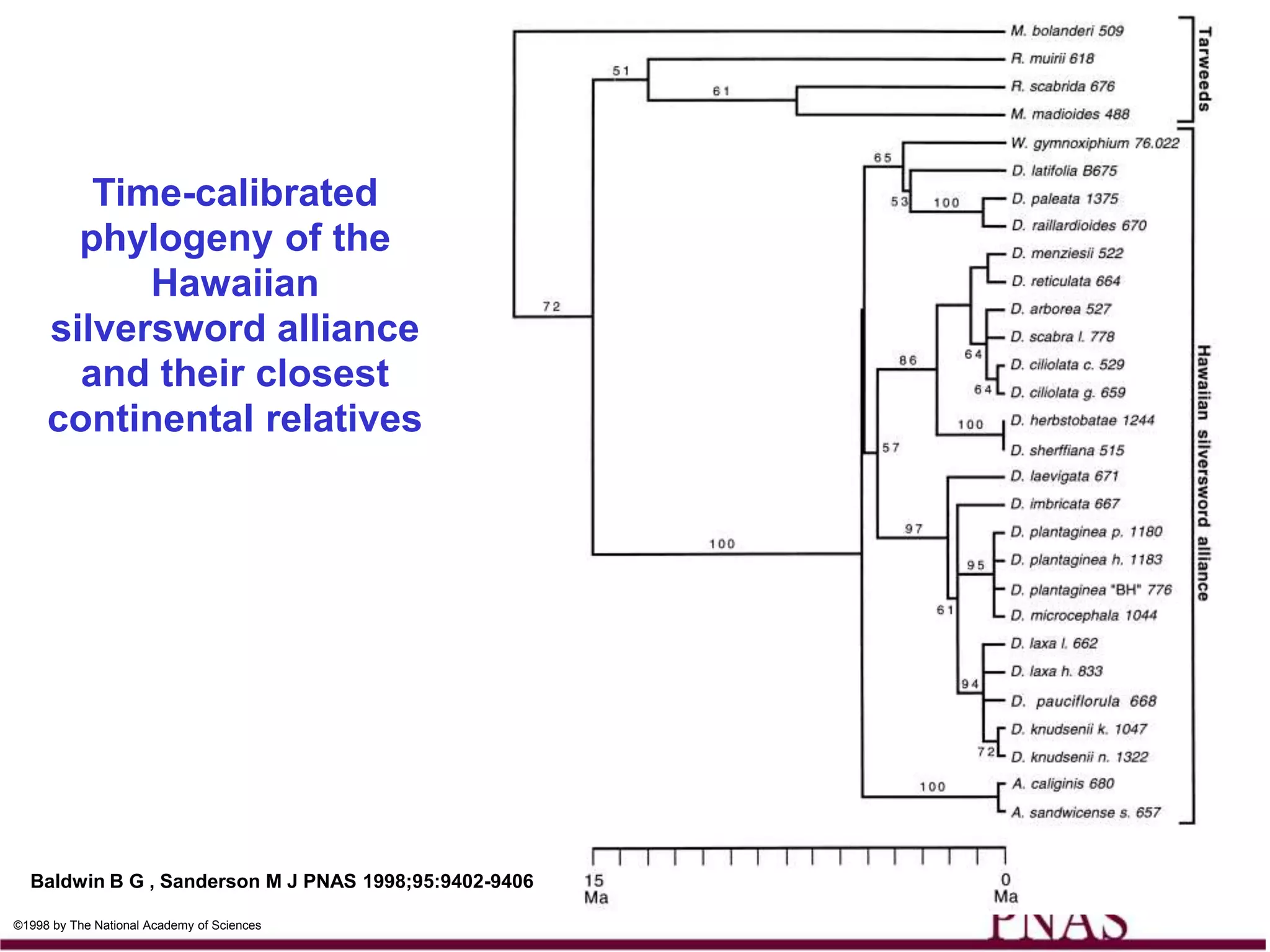 Time-calibrated
       phylogeny of the
           Hawaiian
     silversword alliance
       and their closest
     continental relatives




  Baldwin B G , Sanderson M J PNAS 1998;95:9402-9406

©1998 by The National Academy of Sciences
 