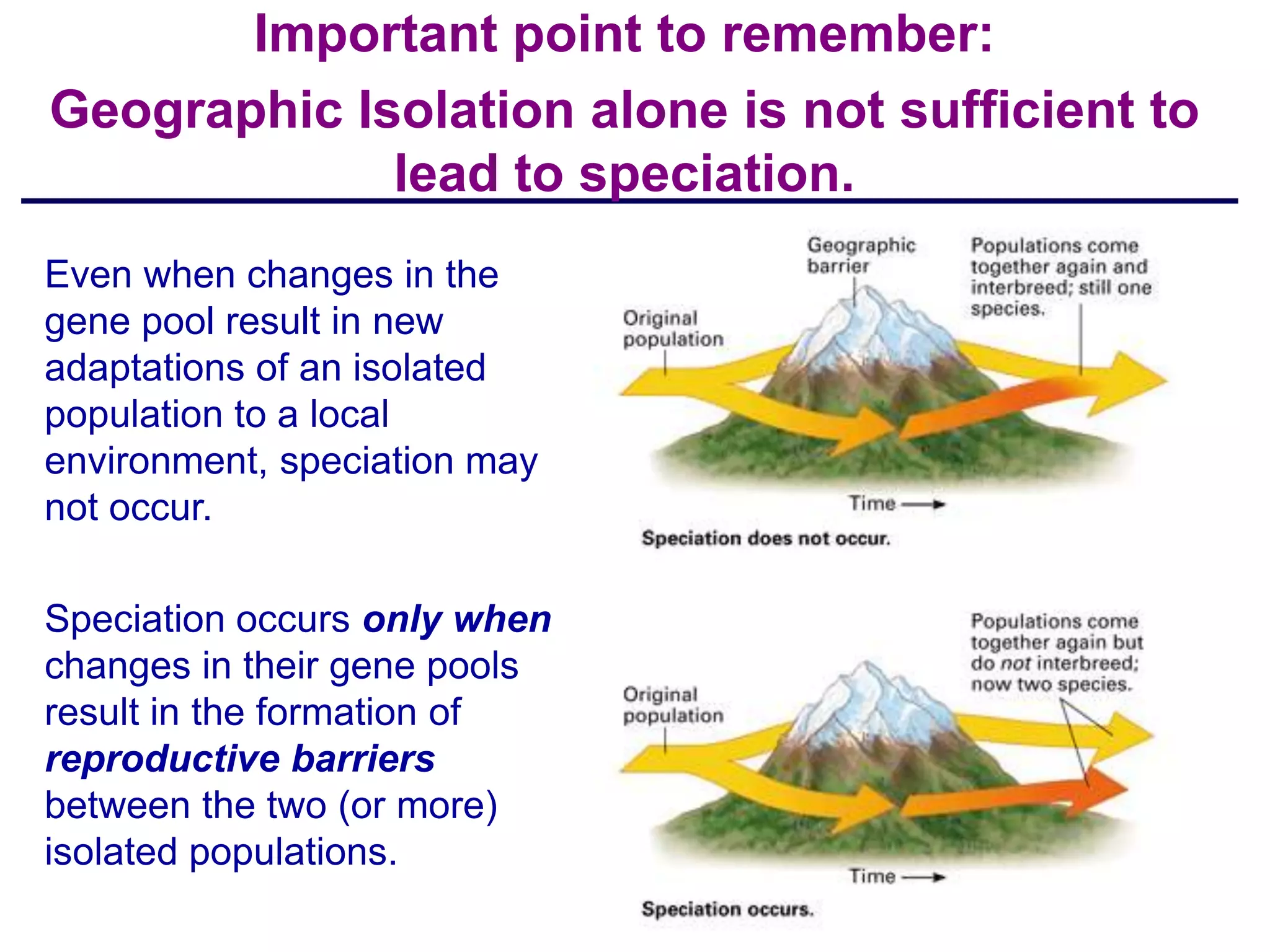 Important point to remember:
Geographic Isolation alone is not sufficient to
             lead to speciation.
Even when changes in the
gene pool result in new
adaptations of an isolated
population to a local
environment, speciation may
not occur.

Speciation occurs only when
changes in their gene pools
result in the formation of
reproductive barriers
between the two (or more)
isolated populations.
 