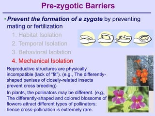 Pre-zygotic Barriers
• Prevent the formation of a zygote by preventing
  mating or fertilization
   1. Habitat Isolation
   2. Temporal Isolation
   3. Behavioral Isolation
   4. Mechanical Isolation
Reproductive structures are physically
incompatible (lack of “fit”). (e.g., The differently-
shaped penises of closely-related insects
prevent cross breeding)
In plants, the pollinators may be different. (e.g.,
The differently-shaped and colored blossoms of
flowers attract different types of pollinators;
hence cross-pollination is extremely rare.
 