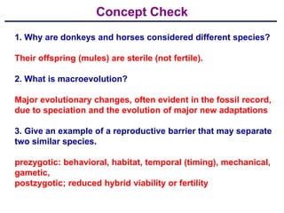 Concept Check
1. Why are donkeys and horses considered different species?

Their offspring (mules) are sterile (not fertile).

2. What is macroevolution?

Major evolutionary changes, often evident in the fossil record,
due to speciation and the evolution of major new adaptations

3. Give an example of a reproductive barrier that may separate
two similar species.

prezygotic: behavioral, habitat, temporal (timing), mechanical,
gametic,
postzygotic; reduced hybrid viability or fertility
 