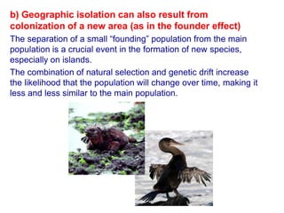 b) Geographic isolation can also result from
colonization of a new area (as in the founder effect)
The separation of a small “founding” population from the main
population is a crucial event in the formation of new species,
especially on islands.
The combination of natural selection and genetic drift increase
the likelihood that the population will change over time, making it
less and less similar to the main population.
 