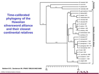 Time-calibrated
       phylogeny of the
           Hawaiian
     silversword alliance
       and their closest
     continental relatives




  Baldwin B G , Sanderson M J PNAS 1998;95:9402-9406

©1998 by The National Academy of Sciences
 