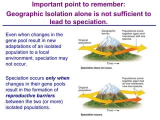 Important point to remember:
Geographic Isolation alone is not sufficient to
             lead to speciation.
Even when changes in the
gene pool result in new
adaptations of an isolated
population to a local
environment, speciation may
not occur.

Speciation occurs only when
changes in their gene pools
result in the formation of
reproductive barriers
between the two (or more)
isolated populations.
 