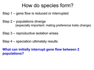 Step 1 – gene flow is reduced or interrupted Step 2 – populations diverge    (especially important: mating preference traits change)‏ Step 3 – reproductive isolation arises Step 4 – speciation ultimately results What can initially interrupt gene flow between 2 populations? How do species form? 