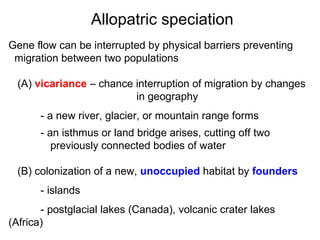 Gene flow can be interrupted by physical barriers preventing  migration between two populations (A)  vicariance  – chance interruption of migration by changes  in geography - a new river, glacier, or mountain range forms - an isthmus or land bridge arises, cutting off two  previously connected bodies of water (B) colonization of a new,  unoccupied  habitat by  founders - islands - postglacial lakes (Canada), volcanic crater lakes (Africa)‏ Allopatric speciation 